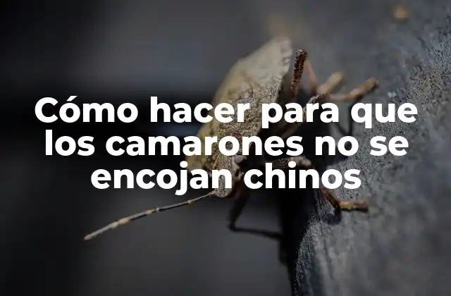 Cómo Hacer para que los Camarones No Se Encojan Chinos