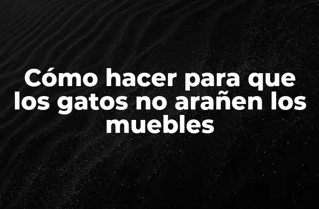 Cómo Hacer para que los Gatos No Arañen los Muebles