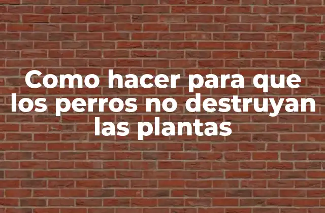 Como Hacer para que los Perros No Destruyan las Plantas