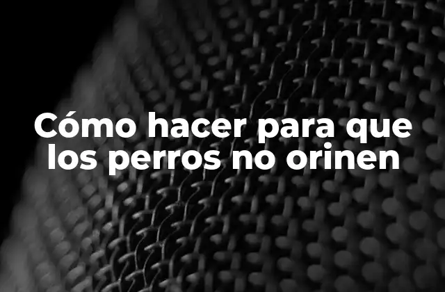 Cómo Hacer para que los Perros No Orinen