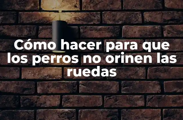 Cómo Hacer para que los Perros No Orinen las Ruedas