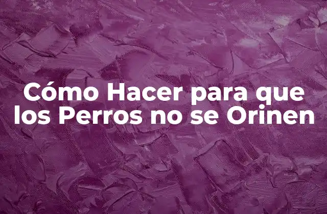 Cómo Hacer para que los Perros No Se Orinen