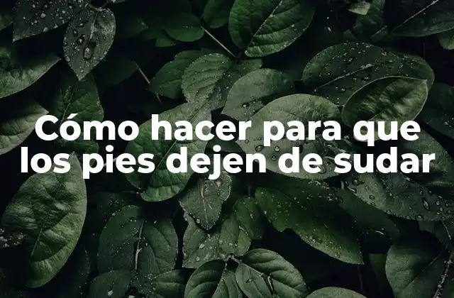 Cómo Hacer para que los Pies Dejen de Sudar