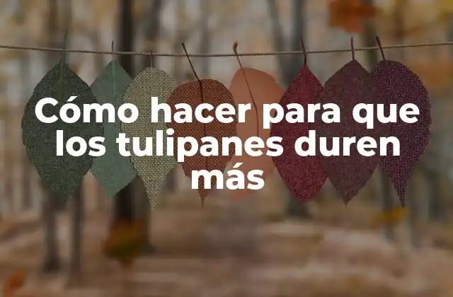 Cómo Hacer para que los Tulipanes Duren Más