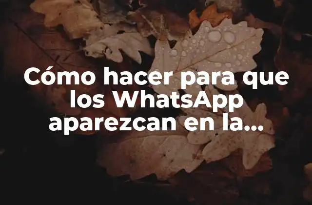 Cómo Hacer para que los Whatsapp Aparezcan en la Pantalla