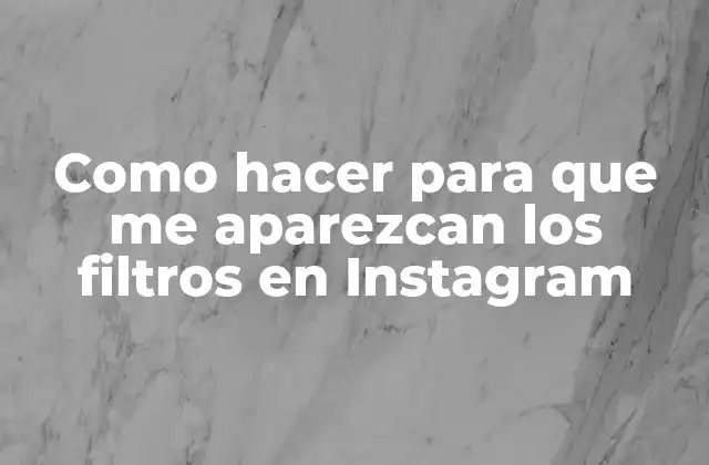 Como Hacer para que Me Aparezcan los Filtros en Instagram