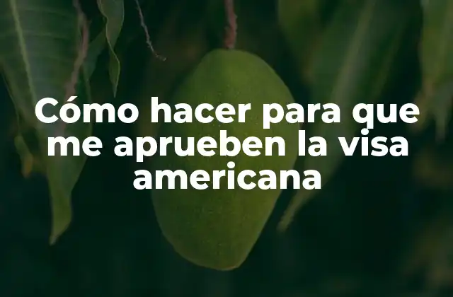 Cómo hacer para que me aprueben la visa americana
