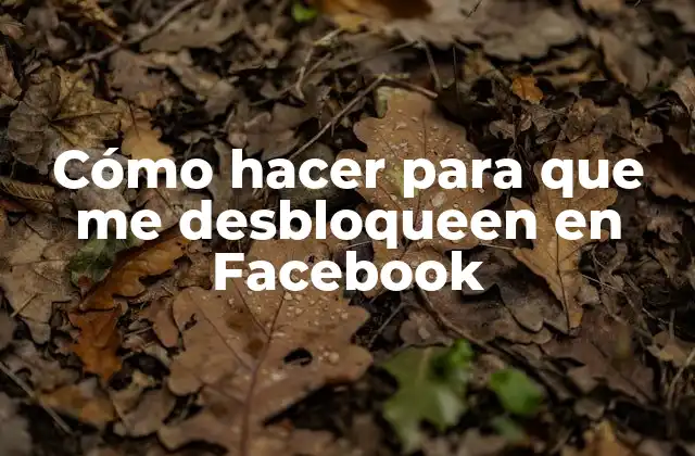 Cómo Hacer para que Me Desbloqueen en Facebook