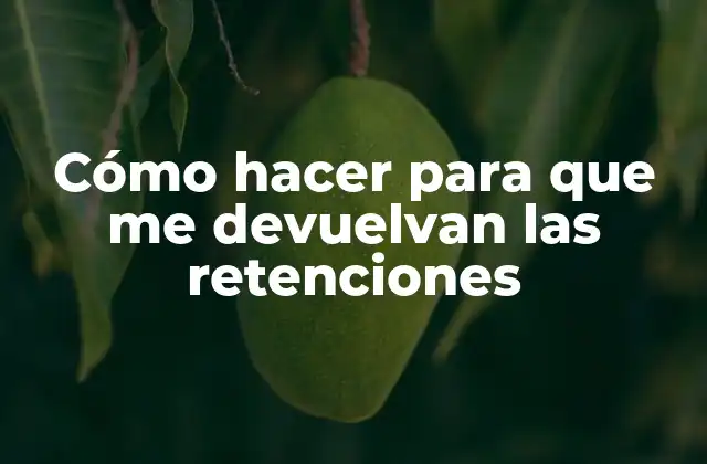 Cómo Hacer para que Me Devuelvan las Retenciones