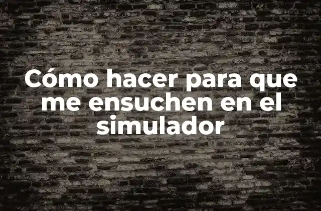 Cómo Hacer para que Me Ensuchen en el Simulador