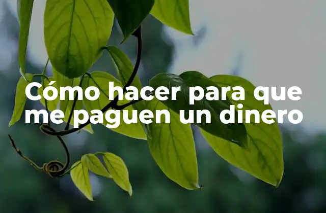Cómo Hacer para que Me Paguen un Dinero