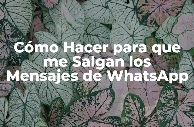 Cómo Hacer para que Me Salgan los Mensajes de Whatsapp