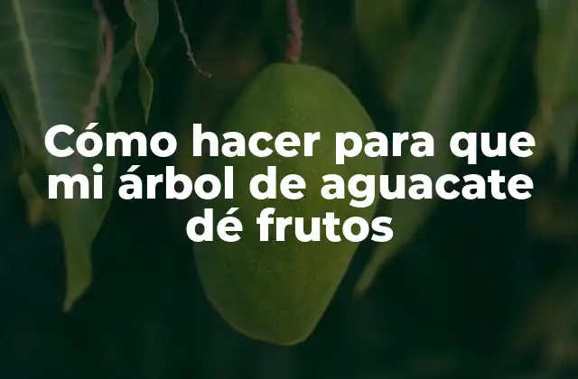 Cómo hacer para que mi árbol de aguacate dé frutos