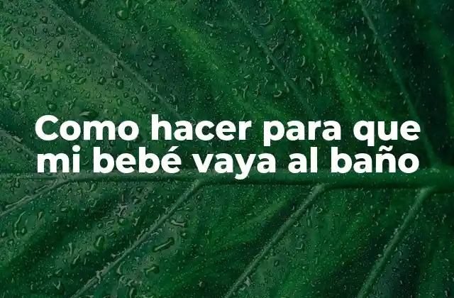 Como Hacer para que Mi Bebé Vaya Al Baño