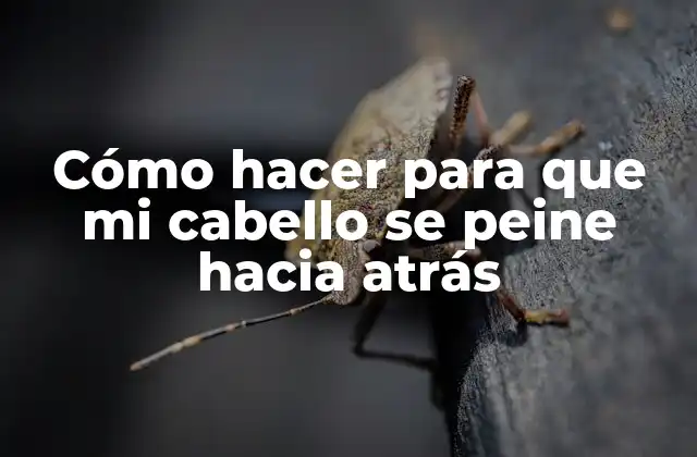 Cómo Hacer para que Mi Cabello Se Peine hacia Atrás