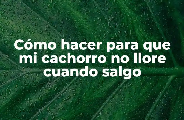 Cómo Hacer para que Mi Cachorro No Llore Cuando Salgo