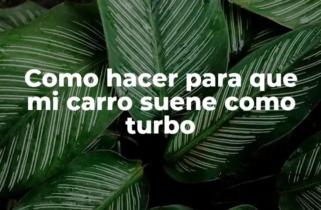 Como Hacer para que Mi Carro Suene como Turbo