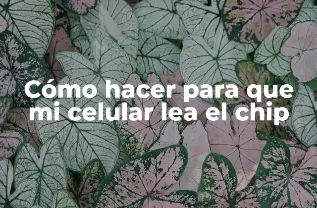 Cómo Hacer para que Mi Celular Lea el Chip
