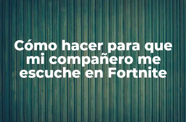 Cómo Hacer para que Mi Compañero Me Escuche en Fortnite