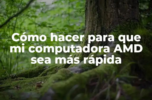 Cómo Hacer para que Mi Computadora Amd Sea Más Rápida