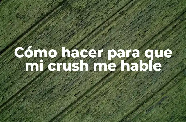 Cómo Hacer para que Mi Crush Me Hable