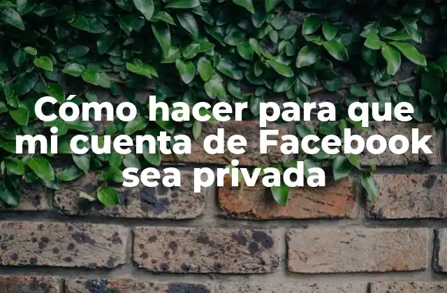 Cómo Hacer para que Mi Cuenta de Facebook Sea Privada