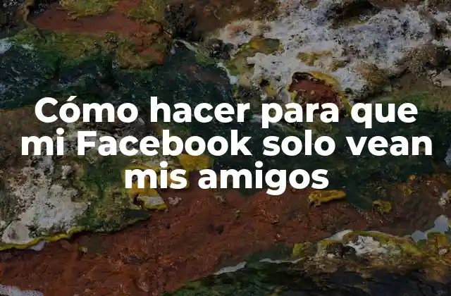 Cómo Hacer para que Mi Facebook Solo Vean Mis Amigos 2 Configuración de la privacidad en Facebook