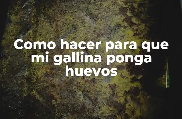 Como Hacer para que Mi Gallina Ponga Huevos