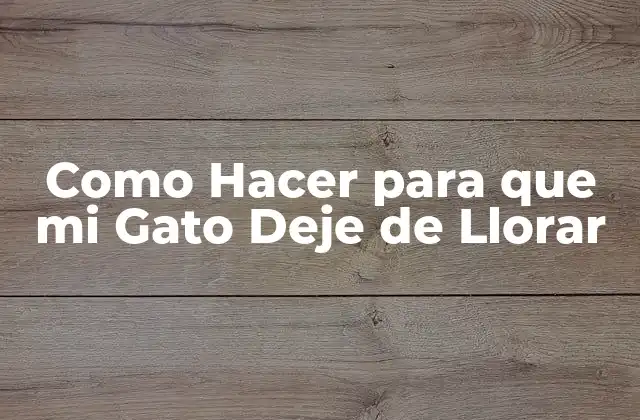 Como Hacer para que Mi Gato Deje de Llorar