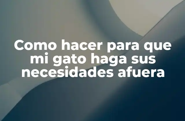 Como Hacer para que Mi Gato Haga Sus Necesidades Afuera