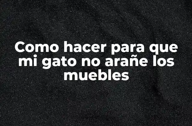 ¿Qué es el arañamiento de muebles en gatos y por qué ocurre?