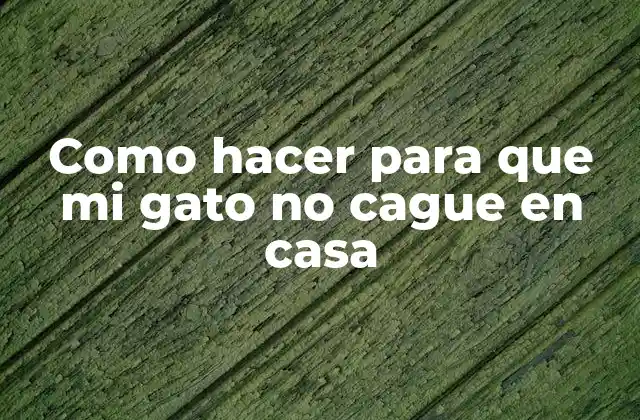 Como Hacer para que Mi Gato No Cague en Casa