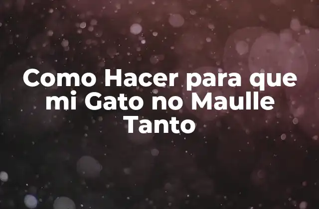 Como Hacer para que Mi Gato No Maulle Tanto