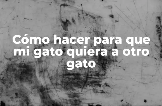 Cómo Hacer para que Mi Gato Quiera a Otro Gato