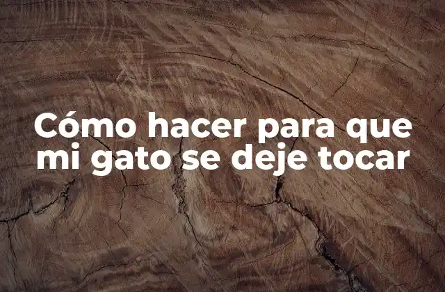 Cómo Hacer para que Mi Gato Se Deje Tocar