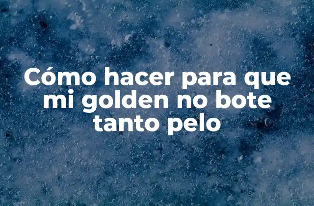 Cómo Hacer para que Mi Golden No Bote Tanto Pelo