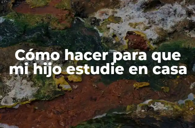 Cómo Hacer para que Mi Hijo Estudie en Casa