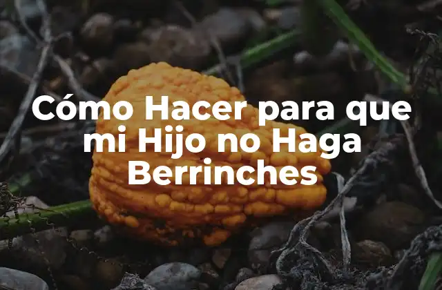 Cómo Hacer para que Mi Hijo No Haga Berrinches