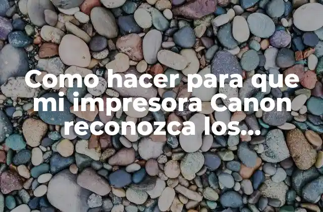 Como Hacer para que Mi Impresora Canon Reconozca los Cartuchos