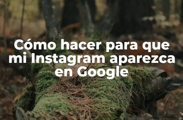 Cómo Hacer para que Mi Instagram Aparezca en Google