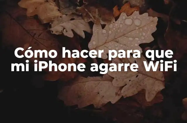 Cómo Hacer para que Mi Iphone Agarre Wifi