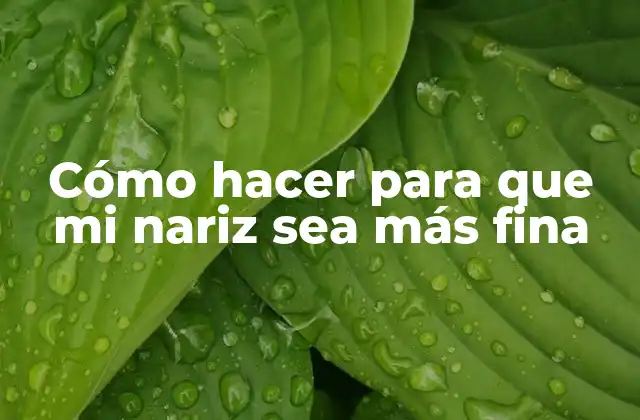 Cómo Hacer para que Mi Nariz Sea Más Fina