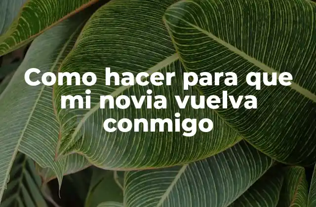 Como Hacer para que Mi Novia Vuelva Conmigo