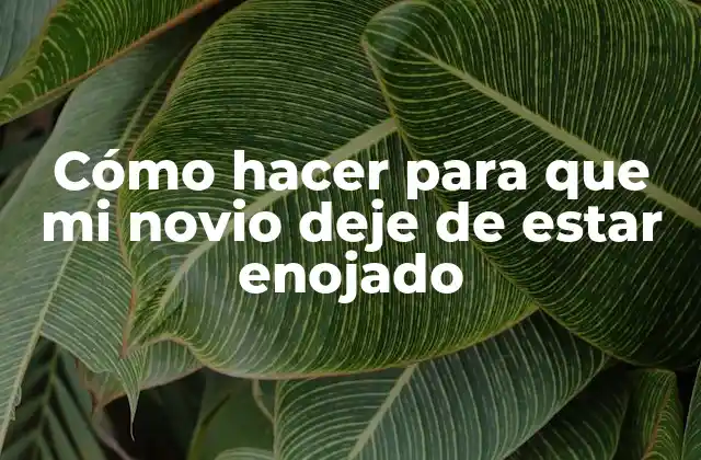Cómo Hacer para que Mi Novio Deje de Estar Enojado