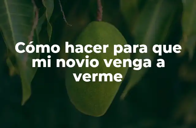 Cómo Hacer para que Mi Novio Venga a Verme