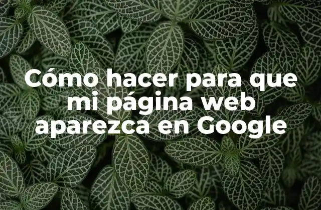 Cómo Hacer para que Mi Página Web Aparezca en Google