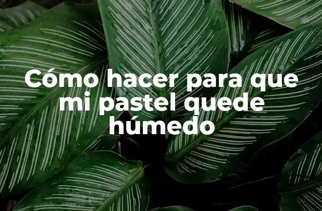 Cómo Hacer para que Mi Pastel Quede Húmedo