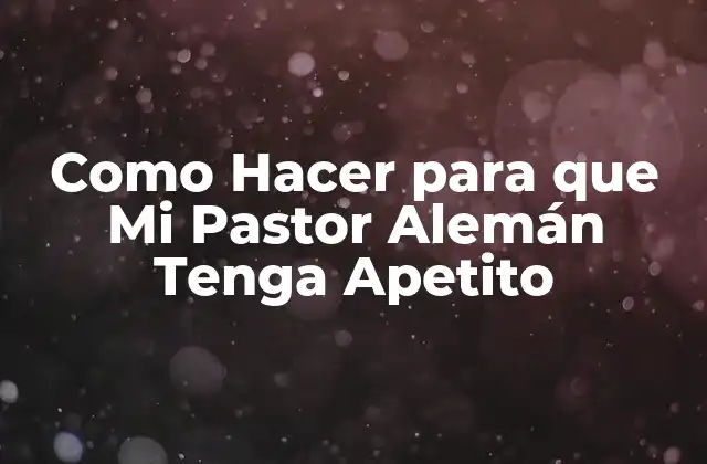 Como Hacer para que Mi Pastor Alemán Tenga Apetito
