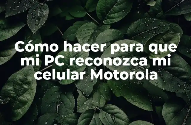 Cómo Hacer para que Mi Pc Reconozca Mi Celular Motorola