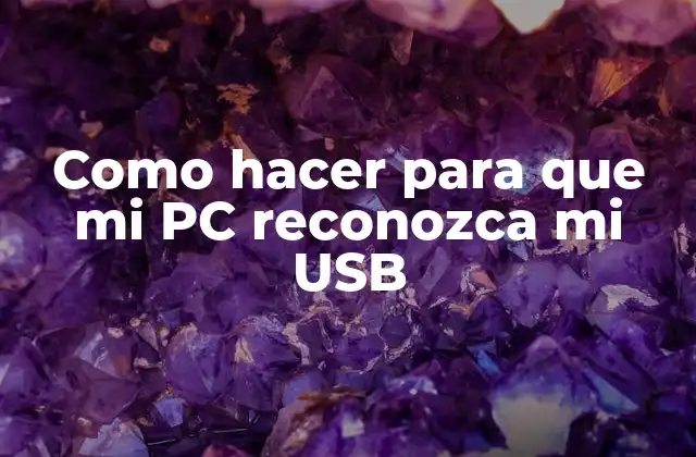 Como Hacer para que Mi Pc Reconozca Mi Usb